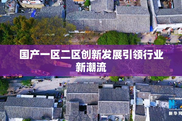 国产一区二区创新发展引领行业新潮流