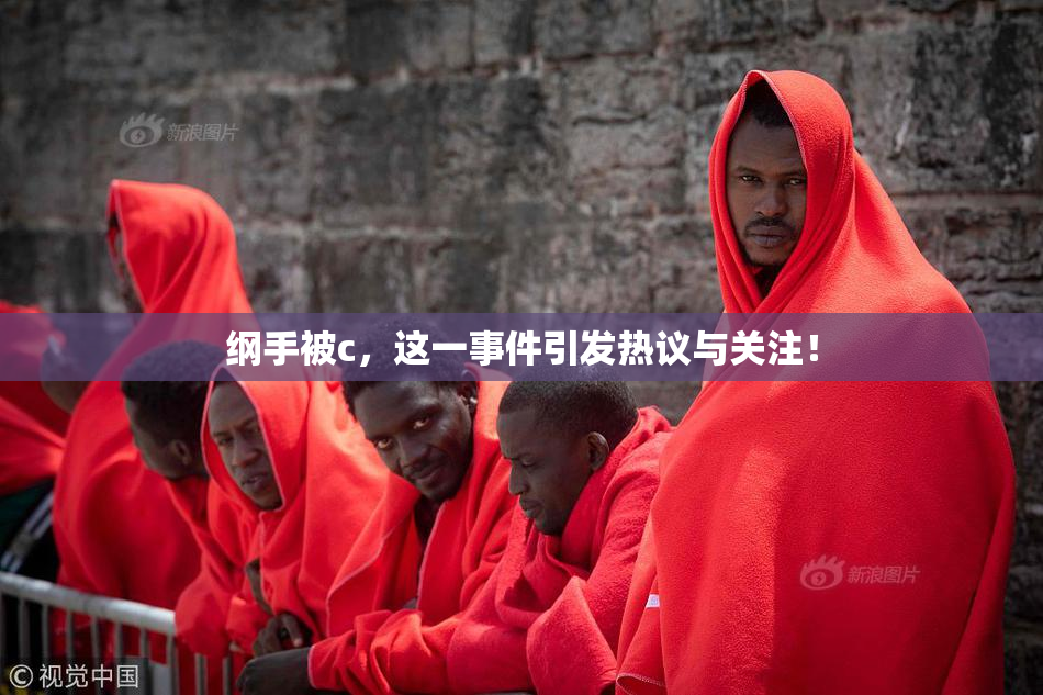 纲手被c，这一事件引发热议与关注！