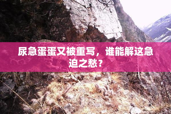 尿急蛋蛋又被重写，谁能解这急迫之愁？