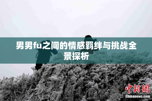男男fu之间的情感羁绊与挑战全景探析
