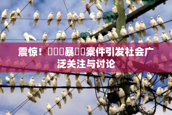 震惊！亂倫強暴強姦案件引发社会广泛关注与讨论