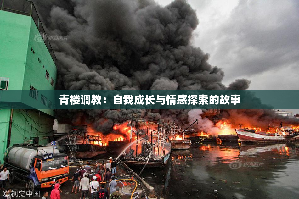 青楼调教：自我成长与情感探索的故事