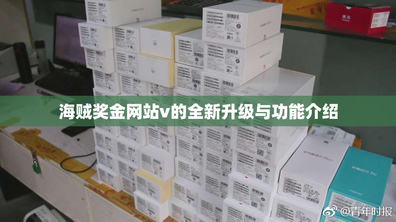 海贼奖金网站v的全新升级与功能介绍