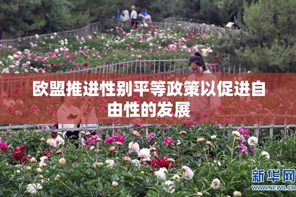 欧盟推进性别平等政策以促进自由性的发展