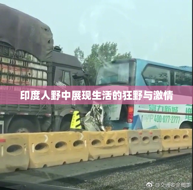 印度人野中展现生活的狂野与激情