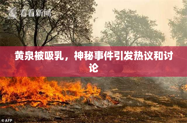 黄泉被吸乳，神秘事件引发热议和讨论