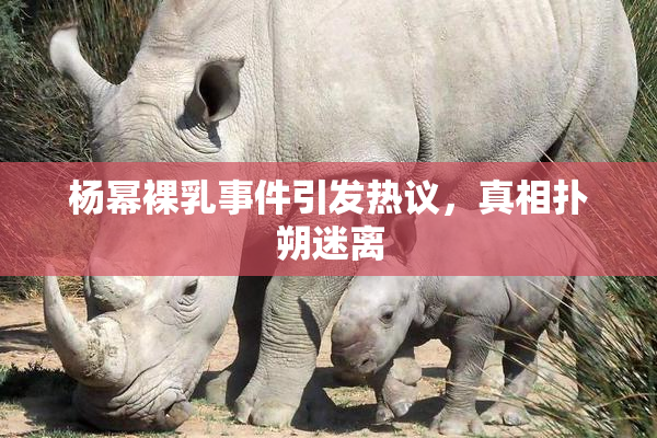 杨幂裸乳事件引发热议，真相扑朔迷离