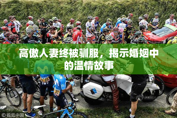 高傲人妻终被驯服，揭示婚姻中的温情故事