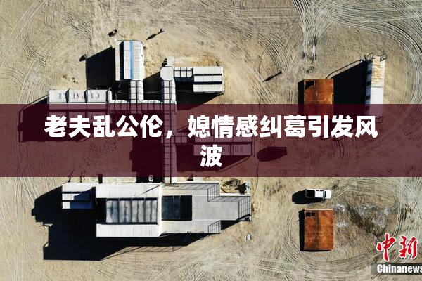 老夫乱公伦，媳情感纠葛引发风波