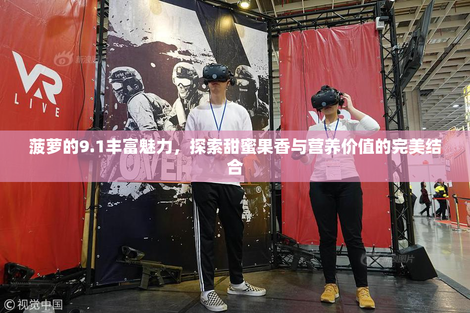 菠萝的9.1丰富魅力，探索甜蜜果香与营养价值的完美结合