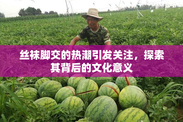 丝袜脚交的热潮引发关注，探索其背后的文化意义