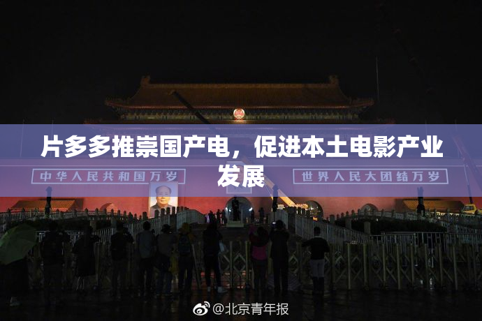 片多多推崇国产电，促进本土电影产业发展