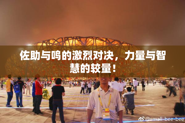 佐助与鸣的激烈对决，力量与智慧的较量！