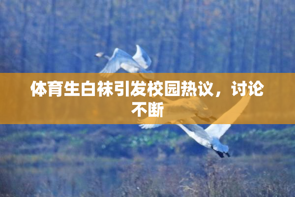 体育生白袜引发校园热议，讨论不断