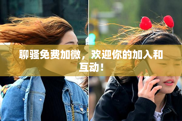 聊骚免费加微，欢迎你的加入和互动！