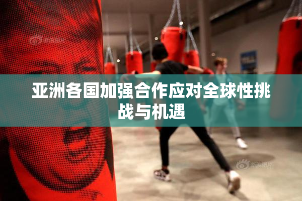 亚洲各国加强合作应对全球性挑战与机遇