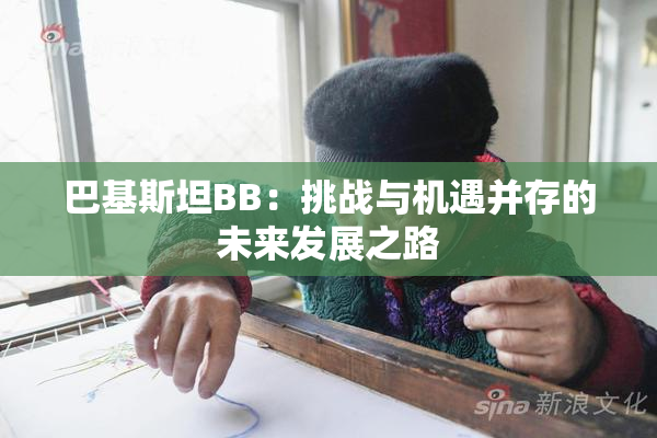 巴基斯坦BB：挑战与机遇并存的未来发展之路