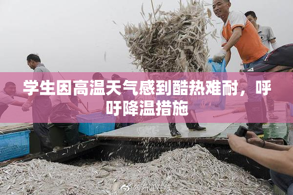 学生因高温天气感到酷热难耐，呼吁降温措施