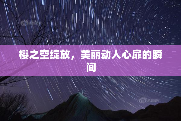 樱之空绽放，美丽动人心扉的瞬间