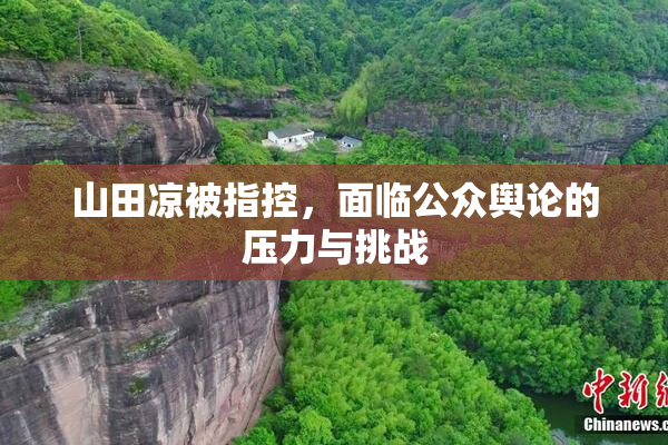 山田凉被指控，面临公众舆论的压力与挑战