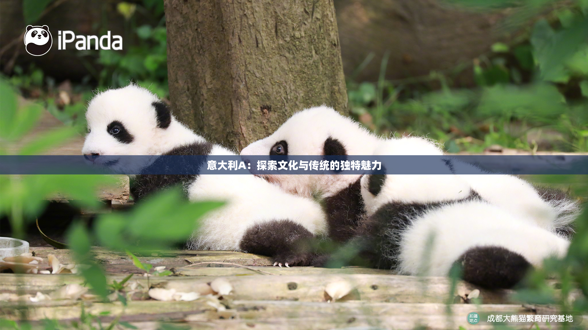 意大利A：探索文化与传统的独特魅力