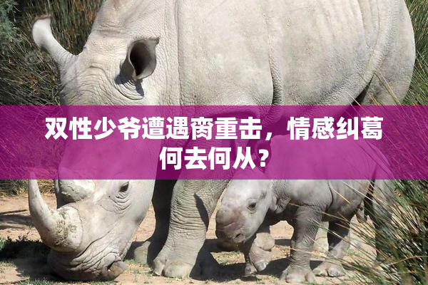双性少爷遭遇脔重击，情感纠葛何去何从？