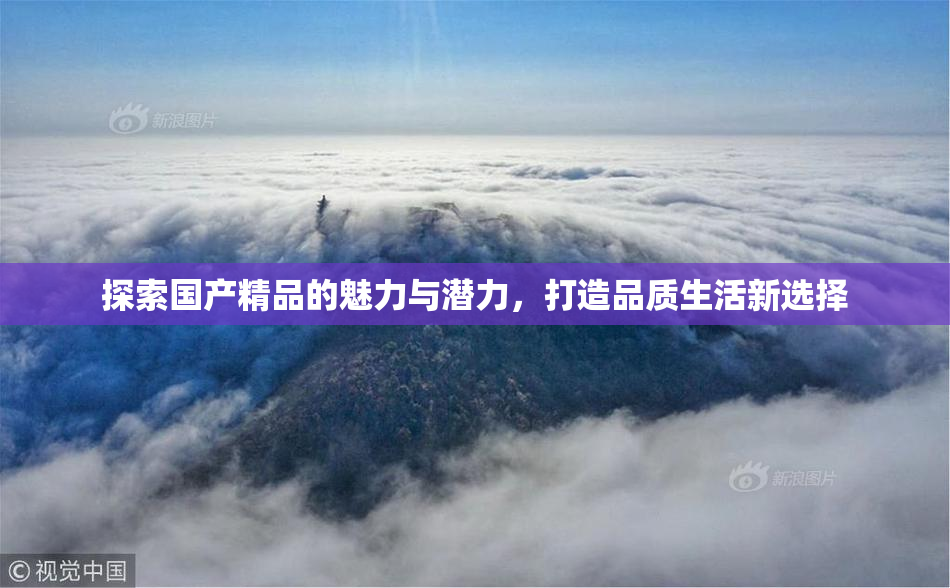 探索国产精品的魅力与潜力，打造品质生活新选择