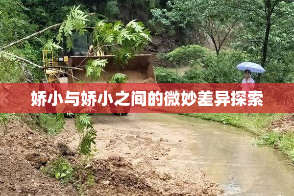 娇小与娇小之间的微妙差异探索