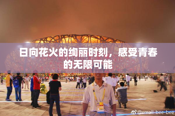 日向花火的绚丽时刻，感受青春的无限可能