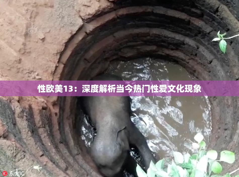 性欧美13：深度解析当今热门性爱文化现象