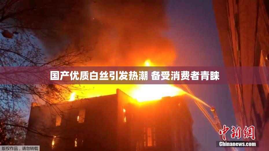 国产优质白丝引发热潮 备受消费者青睐
