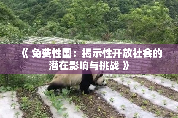 《 免费性国：揭示性开放社会的潜在影响与挑战 》
