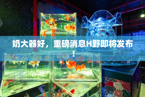 奶大器好，重磅消息H野即将发布！