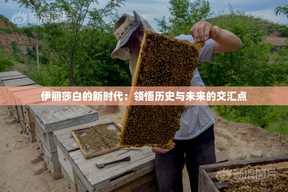 伊丽莎白的新时代：领悟历史与未来的交汇点