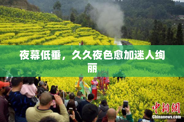 夜幕低垂，久久夜色愈加迷人绚丽