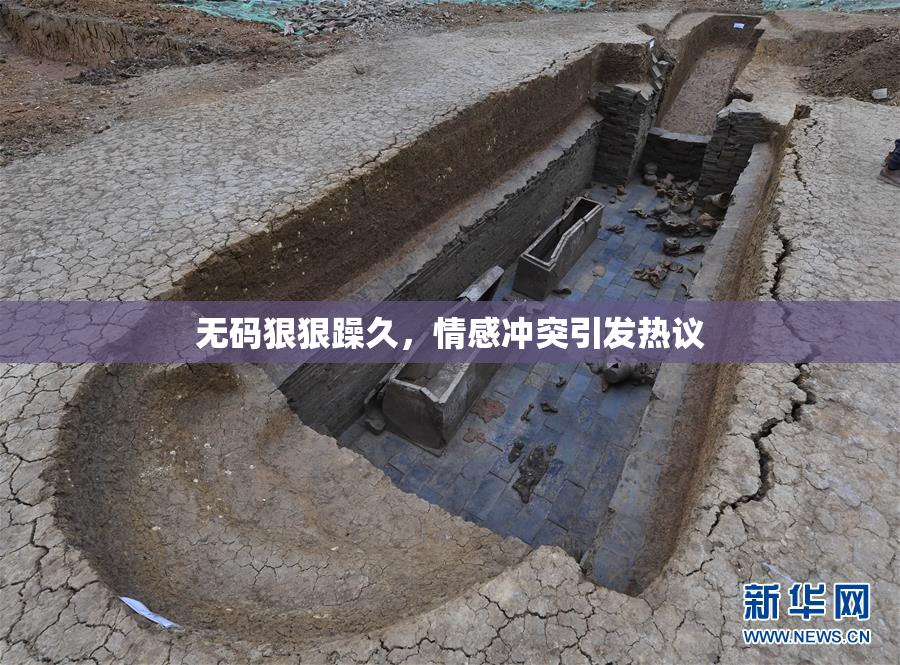 无码狠狠躁久，情感冲突引发热议