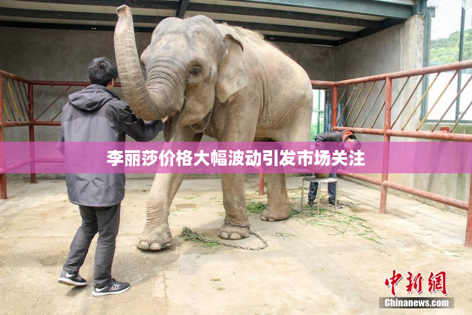 李丽莎价格大幅波动引发市场关注