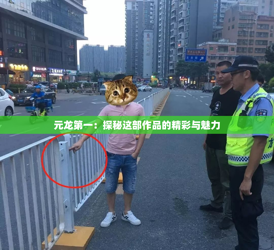 元龙第一：探秘这部作品的精彩与魅力
