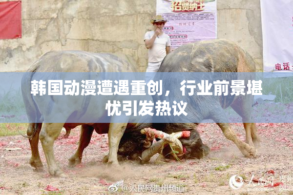 韩国动漫遭遇重创，行业前景堪忧引发热议