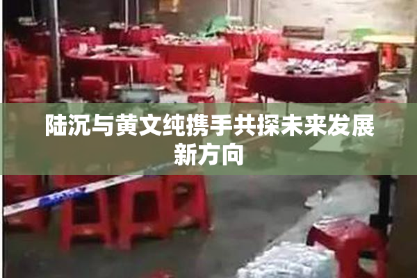 陆沉与黄文纯携手共探未来发展新方向