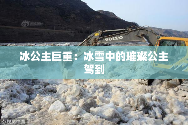 冰公主巨重：冰雪中的璀璨公主驾到