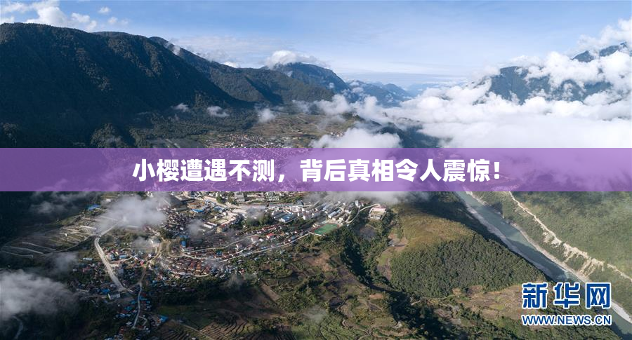 小樱遭遇不测，背后真相令人震惊！