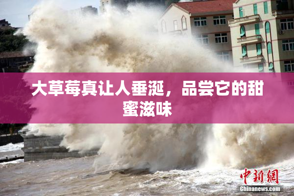 大草莓真让人垂涎，品尝它的甜蜜滋味