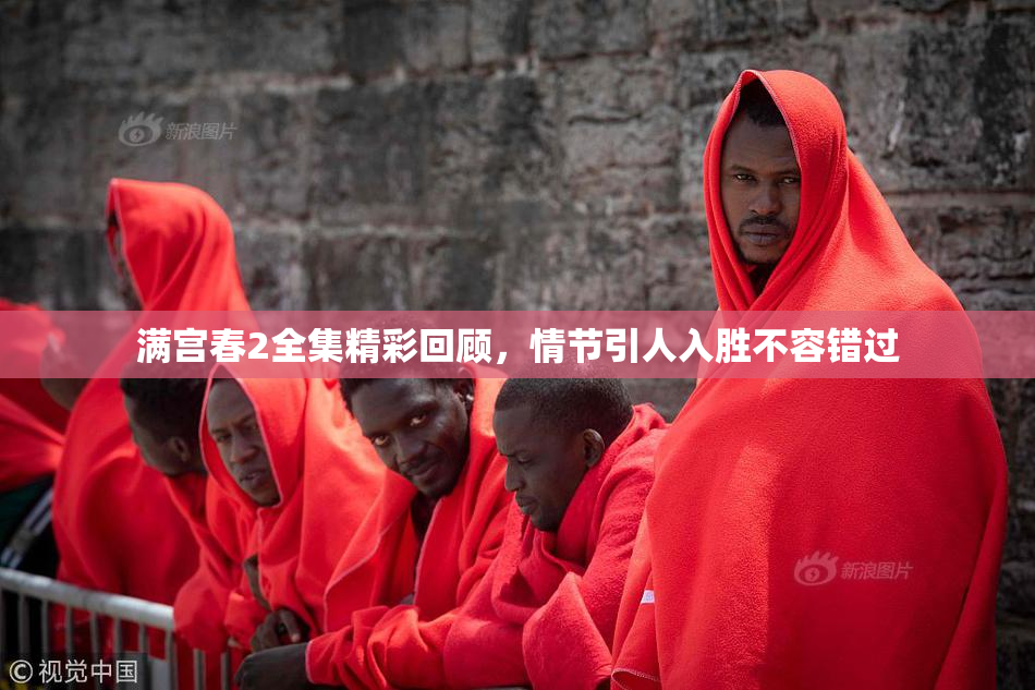 满宫春2全集精彩回顾，情节引人入胜不容错过