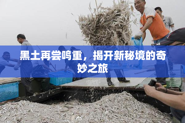 黑土再尝鸣重，揭开新秘境的奇妙之旅