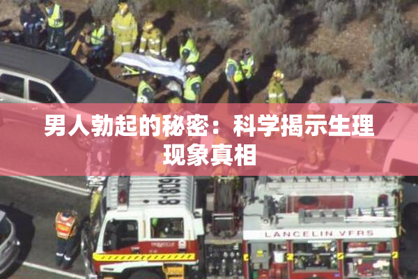 男人勃起的秘密：科学揭示生理现象真相