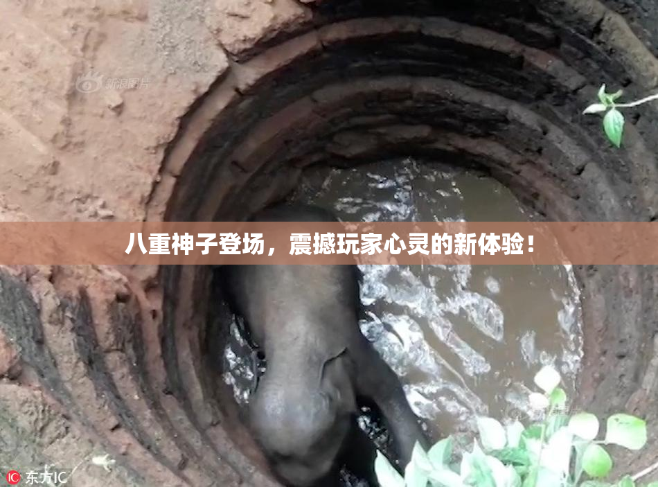 八重神子登场，震撼玩家心灵的新体验！