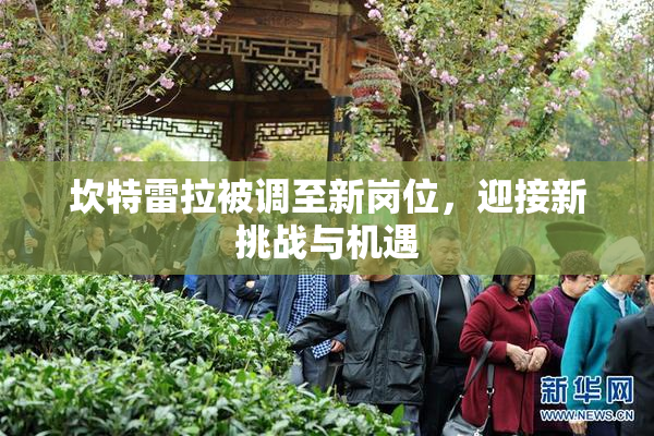 坎特雷拉被调至新岗位，迎接新挑战与机遇