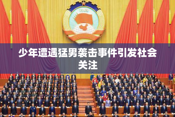 少年遭遇猛男袭击事件引发社会关注