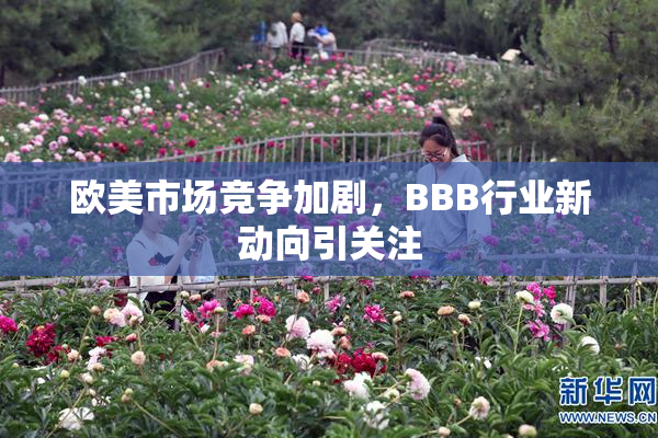 欧美市场竞争加剧，BBB行业新动向引关注